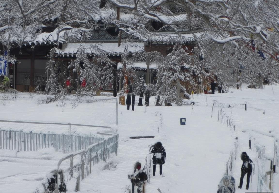 柏林联VS达姆施：焦点对决，激情碰撞前瞻(图2)